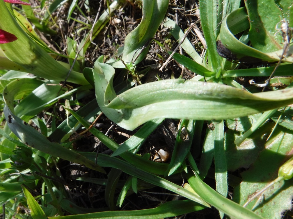 Annexe thumb_DSCF1299_1024.jpg