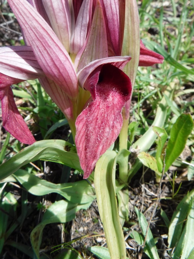 Annexe thumb_DSCF1300_1024.jpg