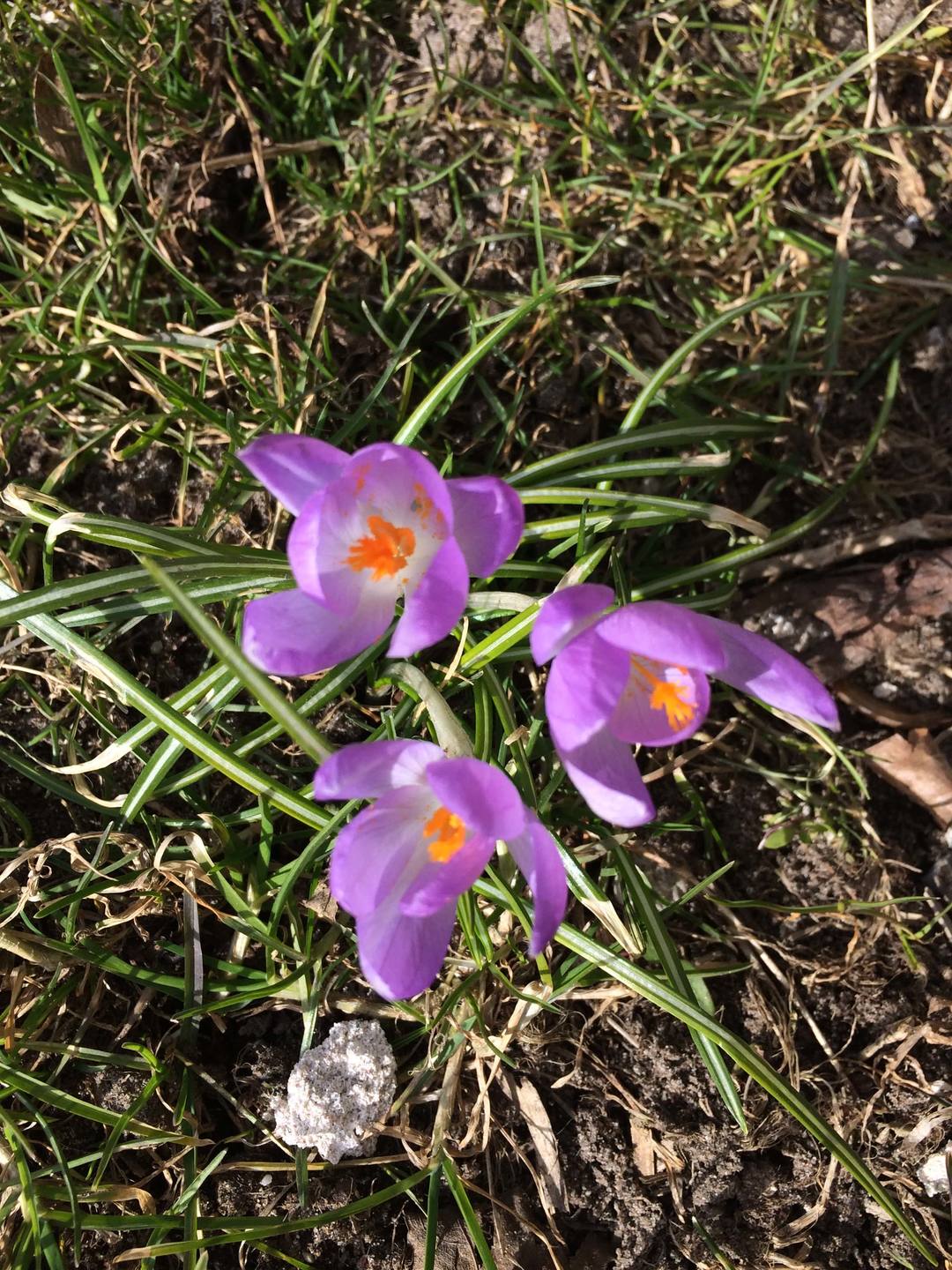 Annexe IMG_5662-min.JPG