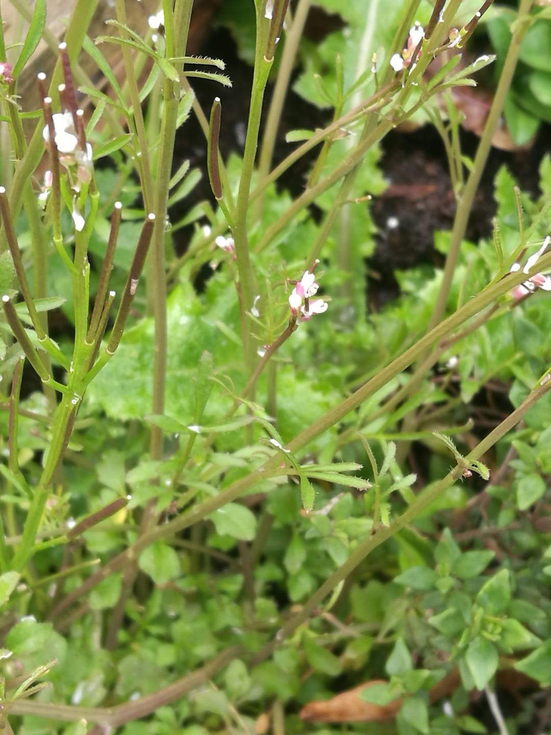 Annexe Image globale.jpg