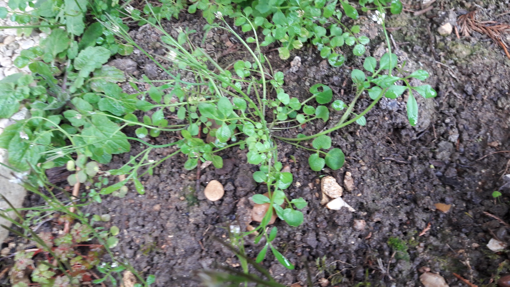 Annexe 20180328_163449_resized.jpg