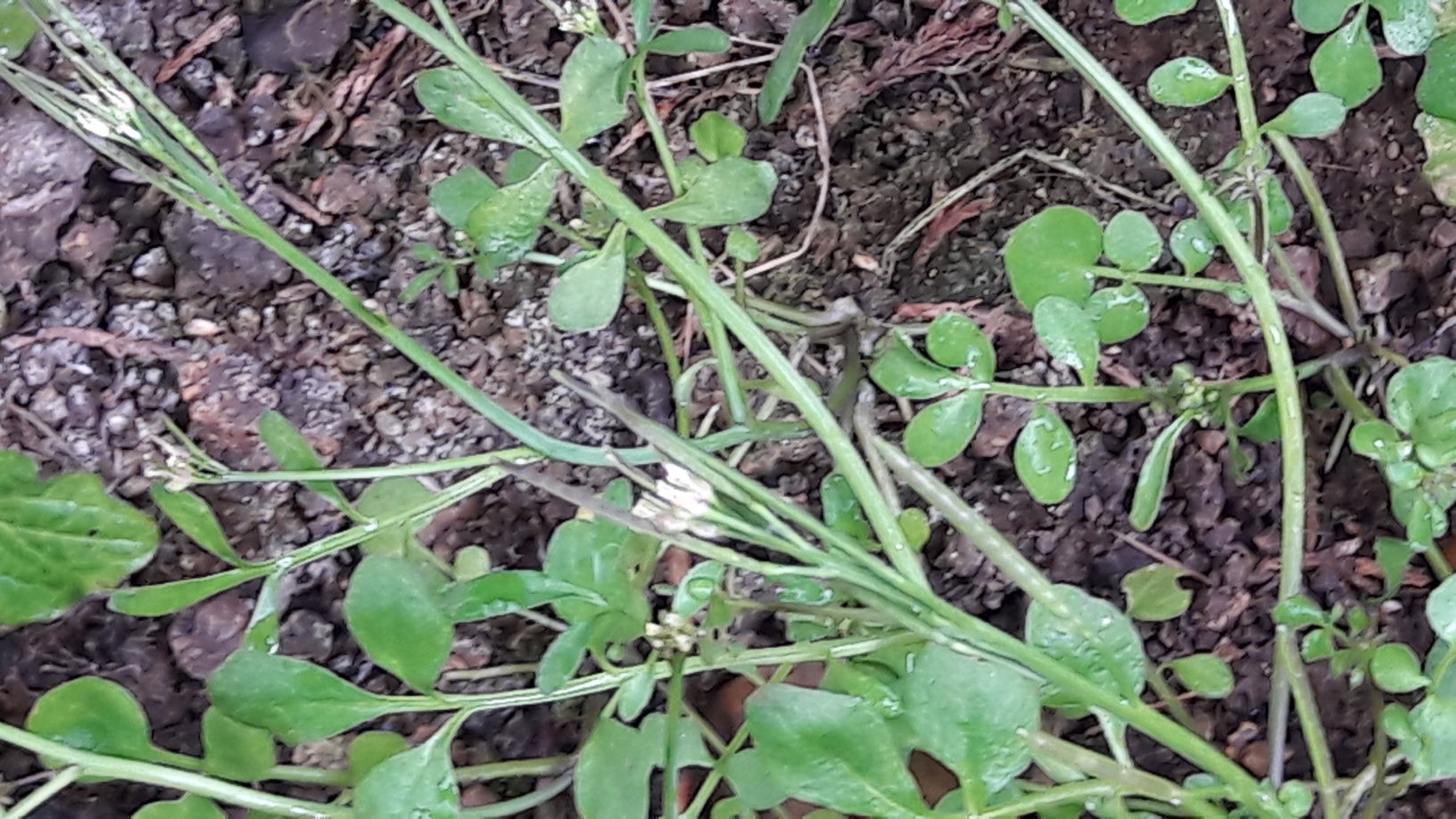 Annexe 20180328_163612_resized.jpg