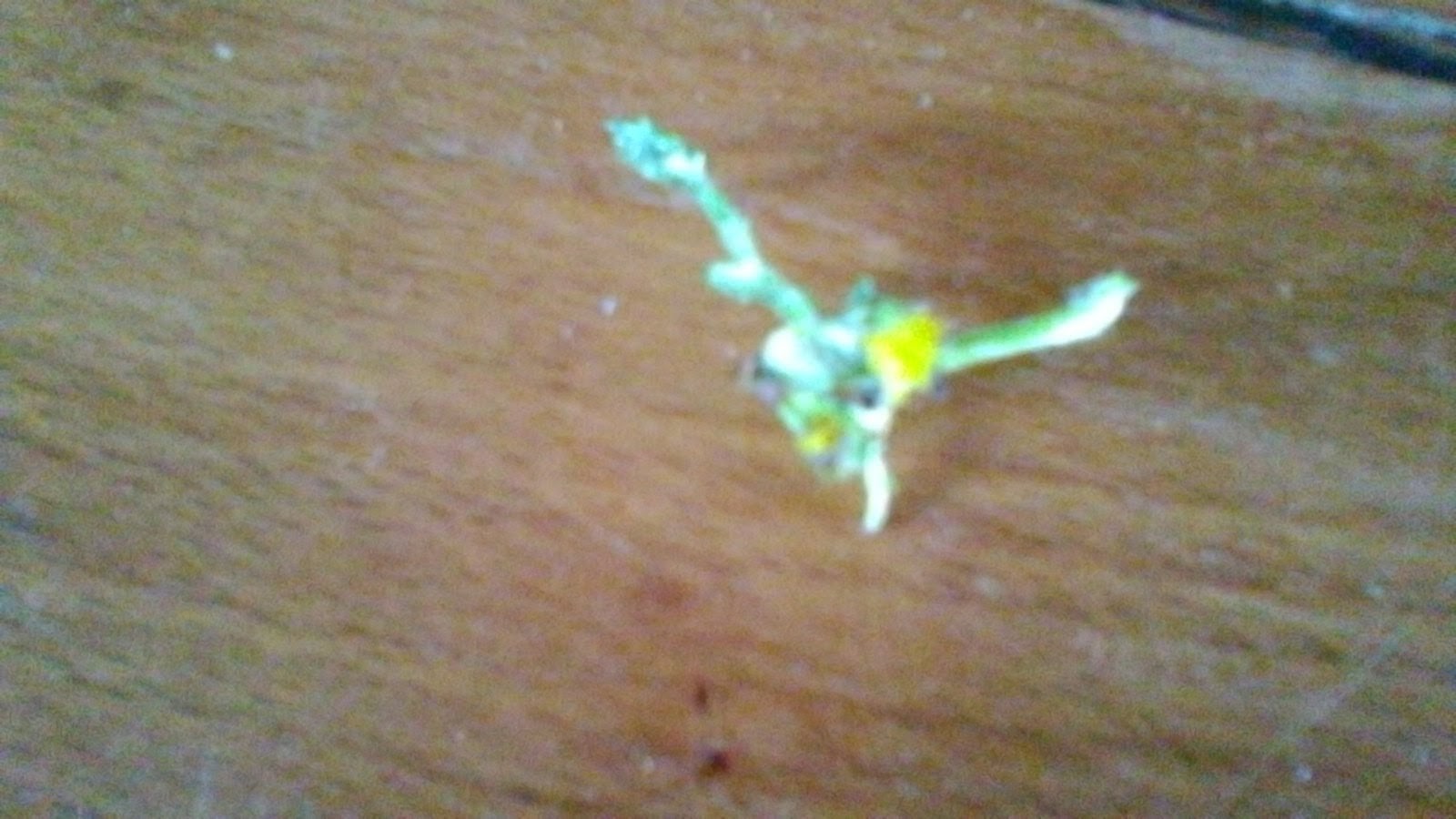 Annexe P_20180328_162758 (1).jpg