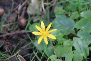 Annexe IMG_5267.jpeg