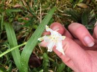 Annexe mini_180328074713312167.jpg