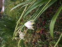 Annexe mini_180328074724388868.jpg