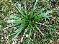 Annexe mini_18032807473836501.jpg