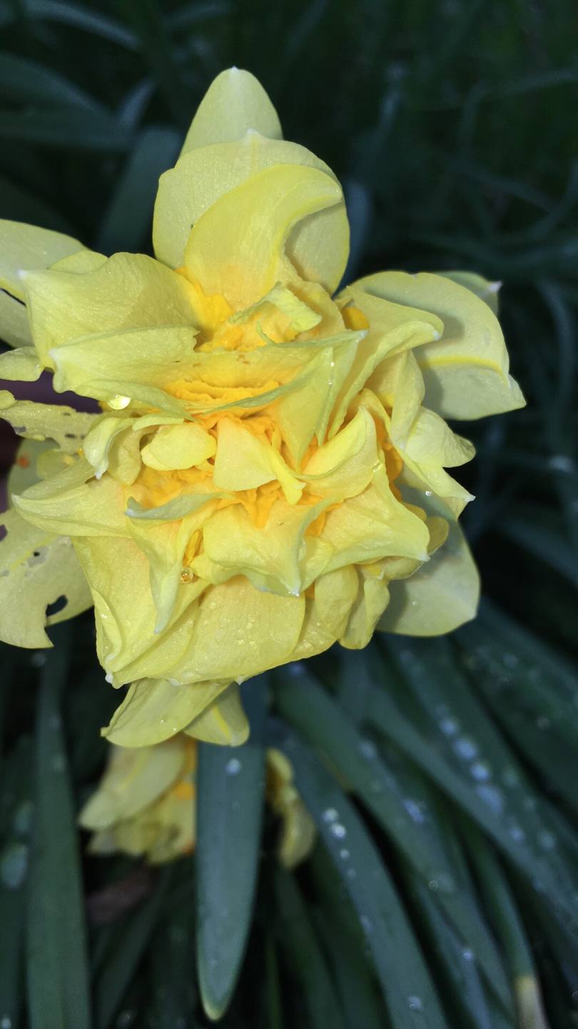 Annexe 73F60842-CA7E-4DE5-BD01-3C6856B28D36.jpeg