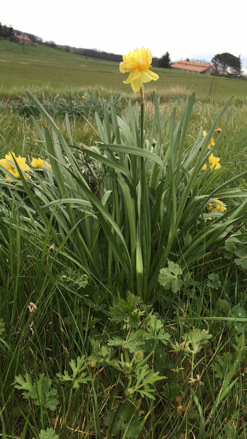 Annexe B77D3727-EA67-4079-BBDA-2D45E2E95A87.jpeg