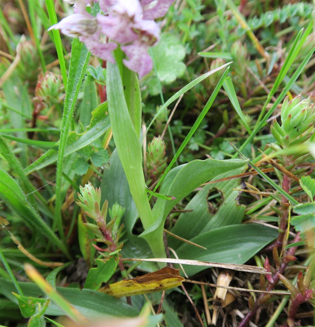 Annexe IMG_0580aa.JPG