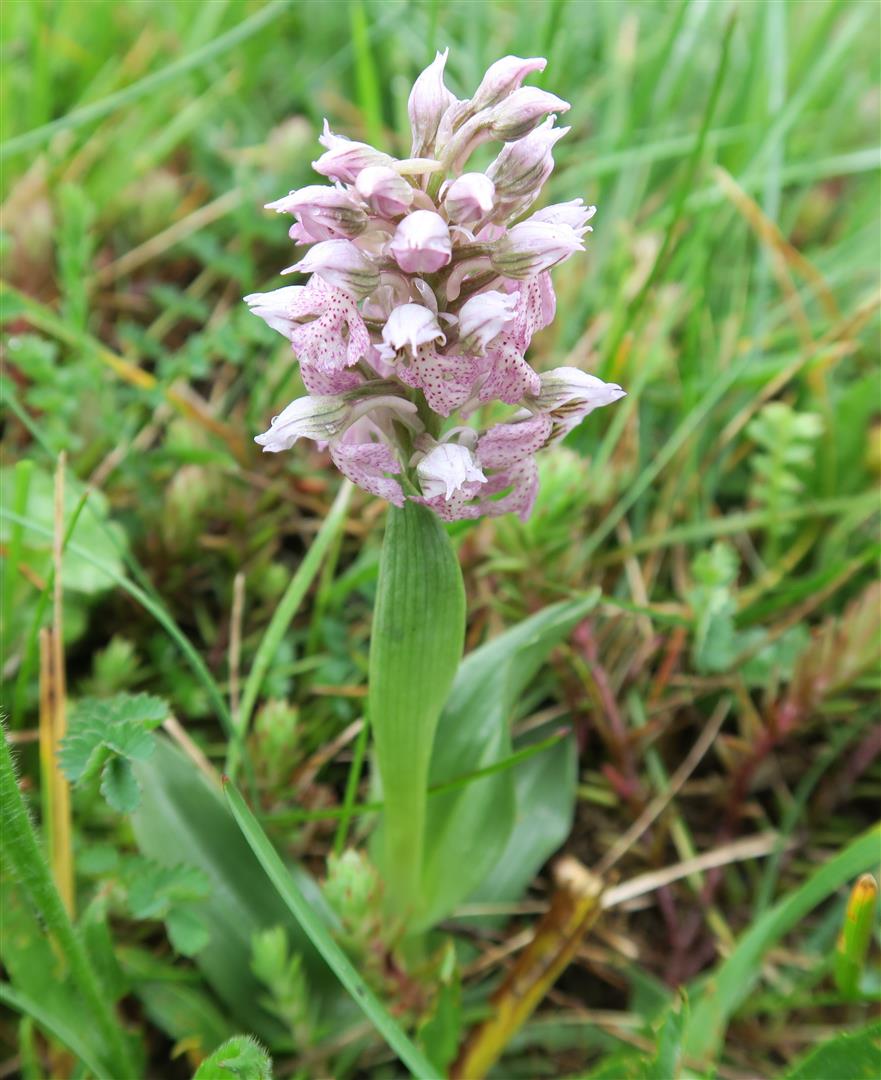 Annexe IMG_0587bb.JPG