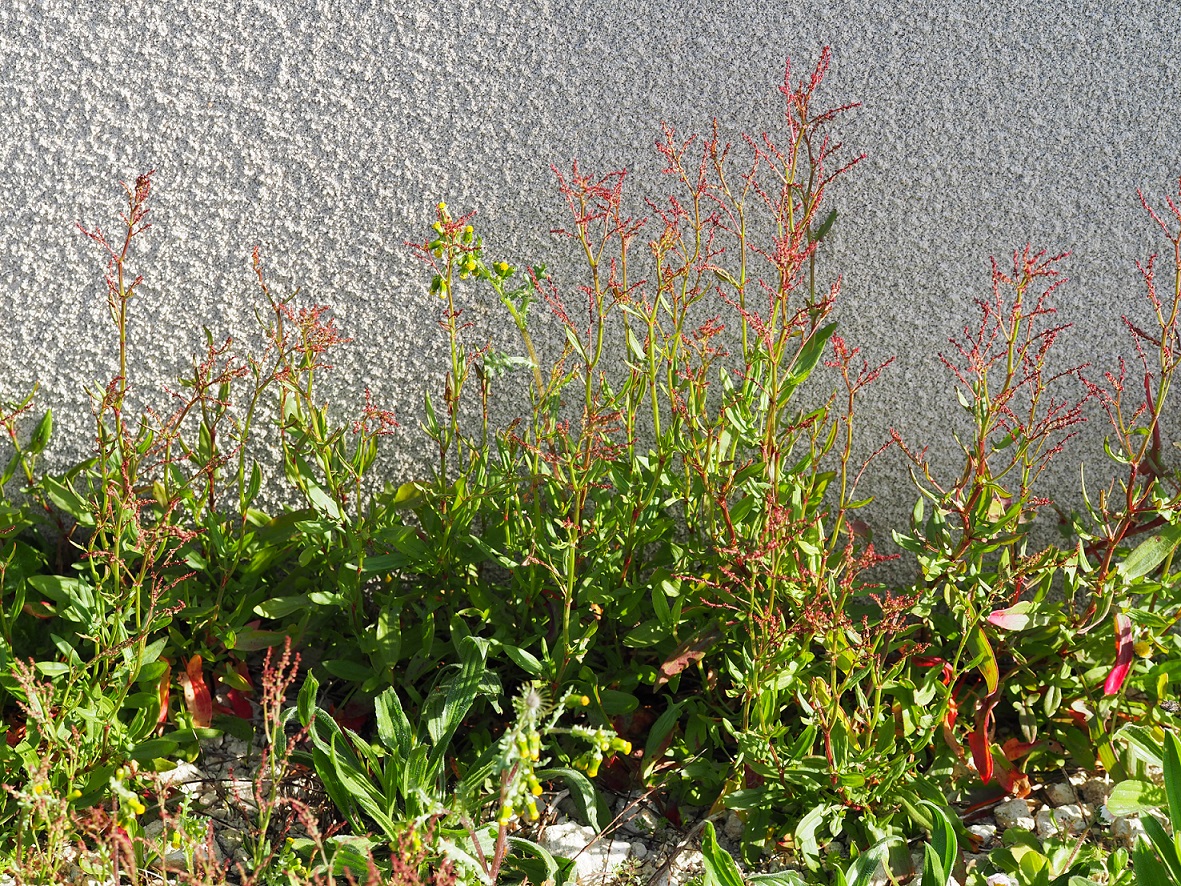 Annexe Vue générale.jpg