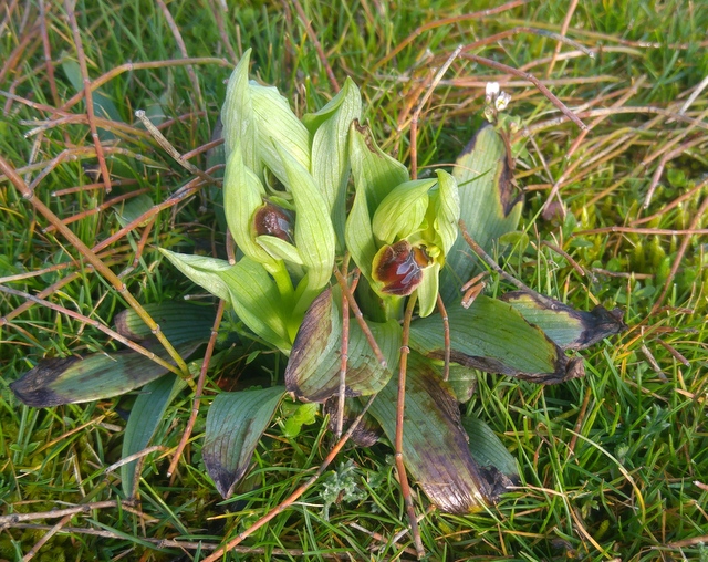 Annexe 20180329_092044.jpg