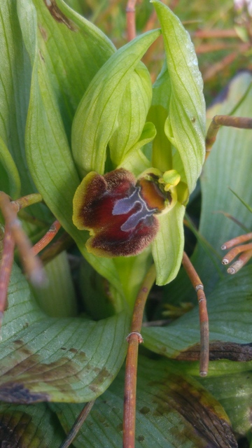 Annexe 20180329_092102.jpg