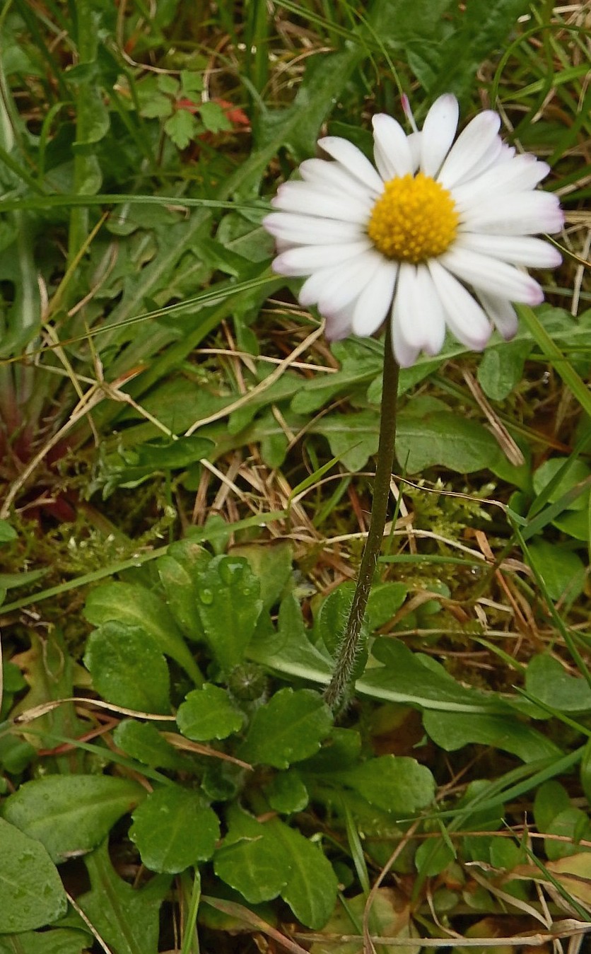 Annexe vue generale.jpg