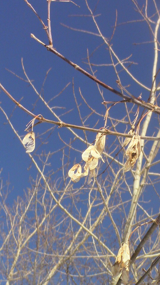 Annexe 49FDC862-A23E-41E1-AAD0-22723D5238AA.jpeg