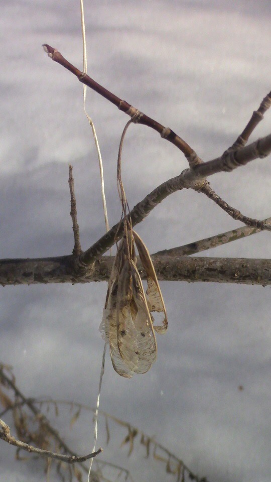 Annexe 4F8F74D0-B89F-46F4-BF07-7AD2FF5BC057.jpeg