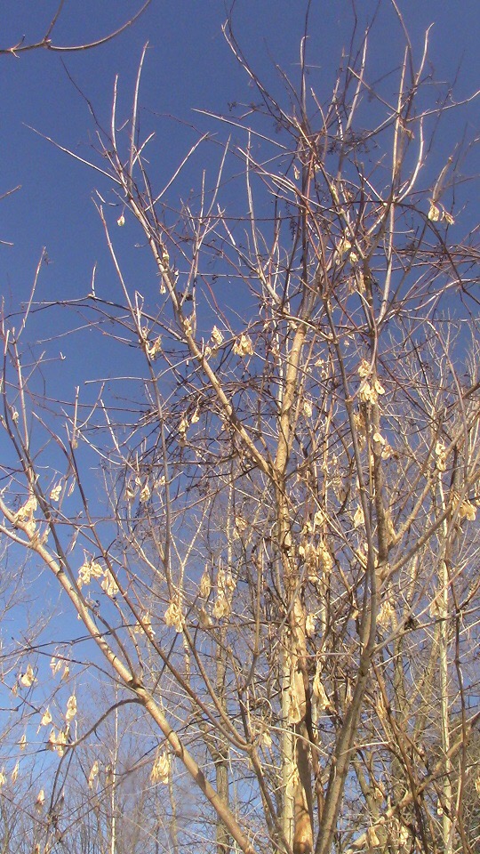 Annexe DD9301F5-15FC-4F70-B17C-E3BD2885C4C6.jpeg