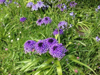 Annexe IMG_3731.jpeg