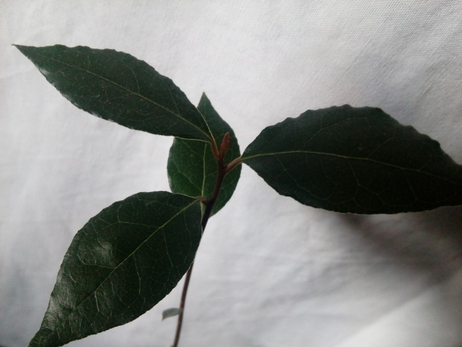 Annexe IMG_20180329_175401.jpg