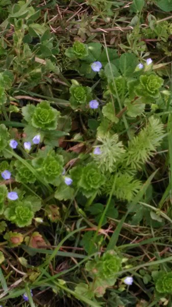 Annexe P_20180329_153942.jpg