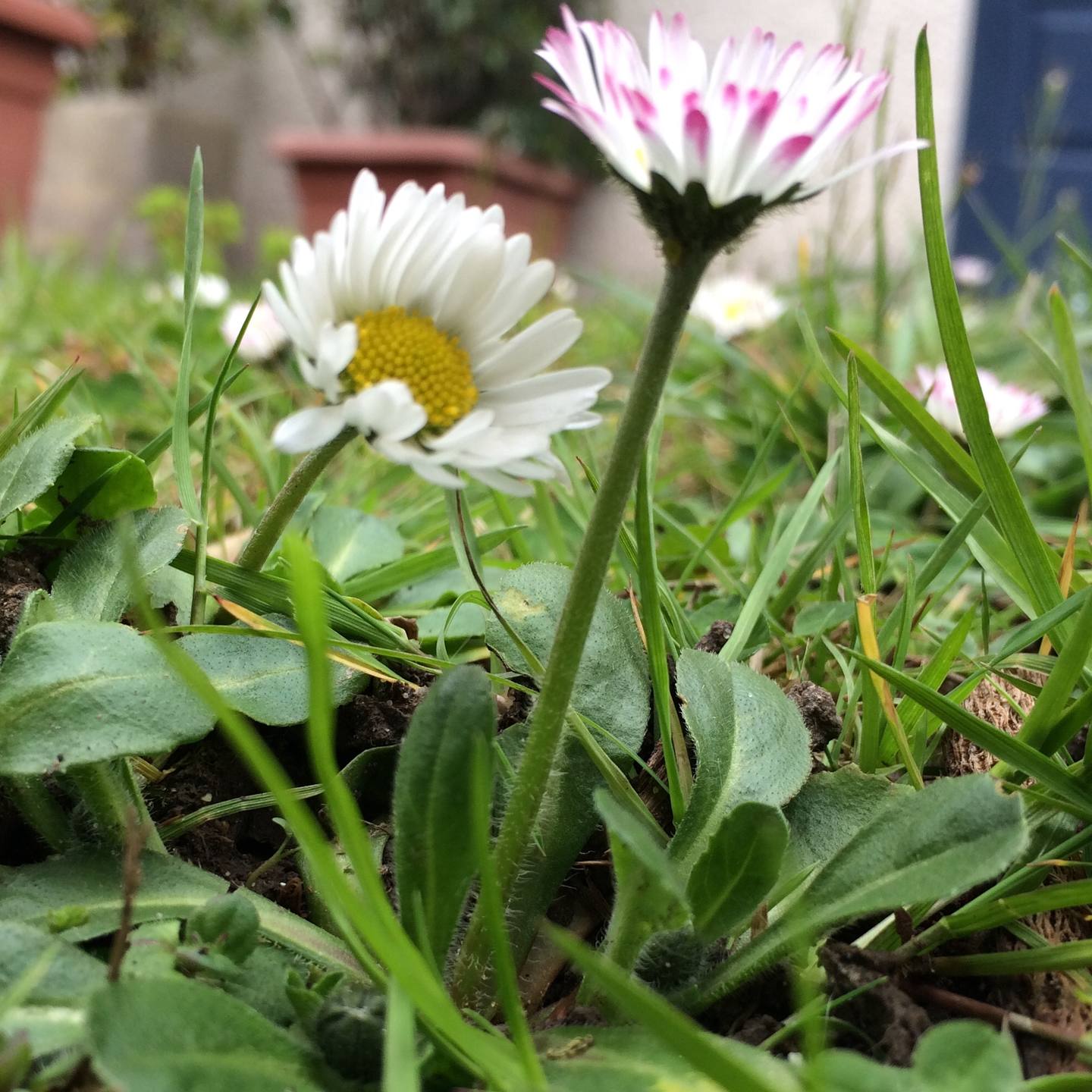 Annexe FullSizeRender-1.jpg