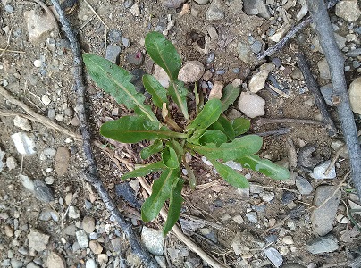 Annexe IMG_20180329_120641.jpg