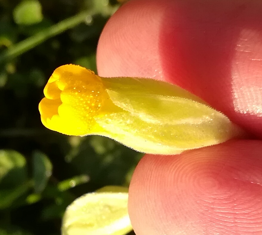 Annexe IMG_20180330_115605.jpg