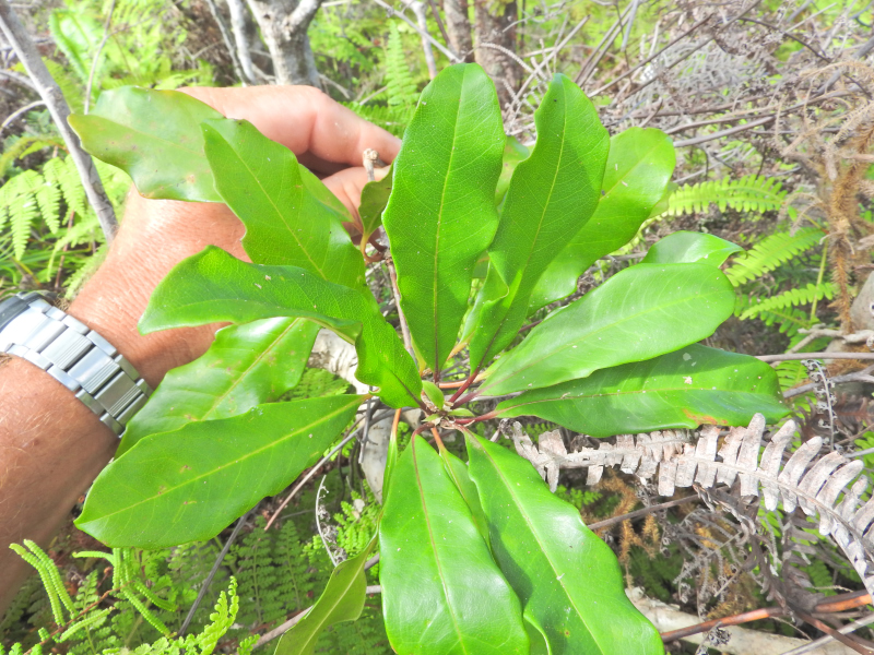 Annexe DSCN2919_01.JPG