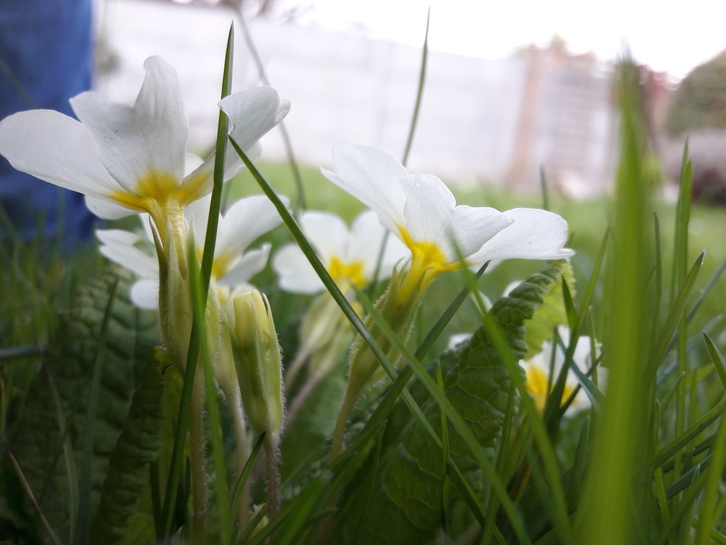 Annexe 20180329_135551.jpg