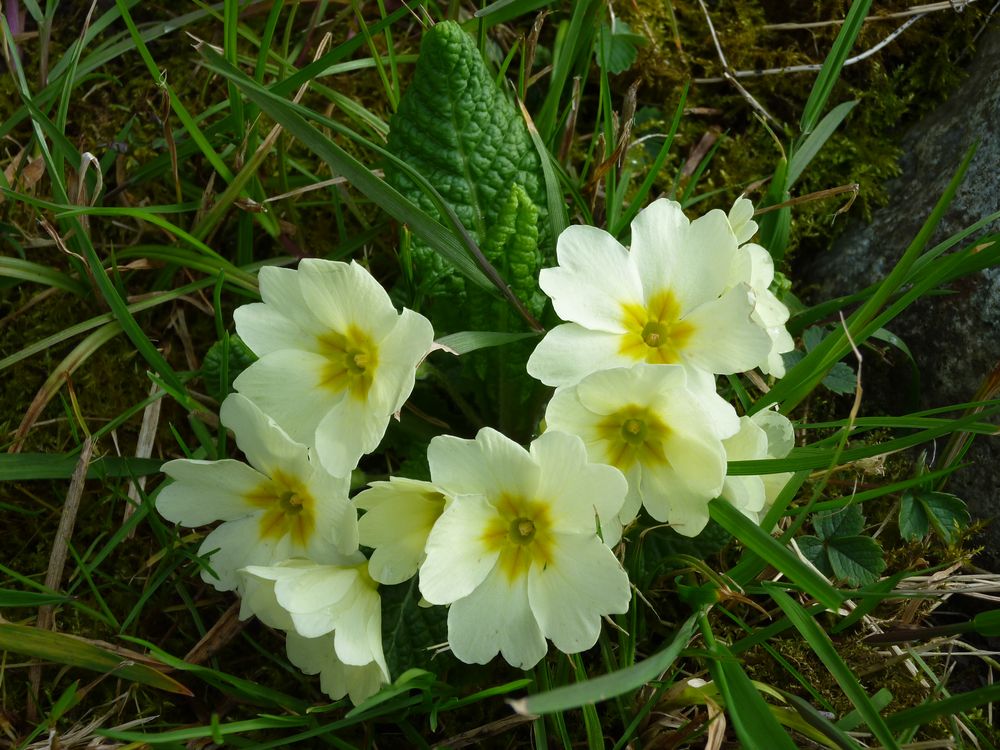 Annexe P1020867 mini.jpg