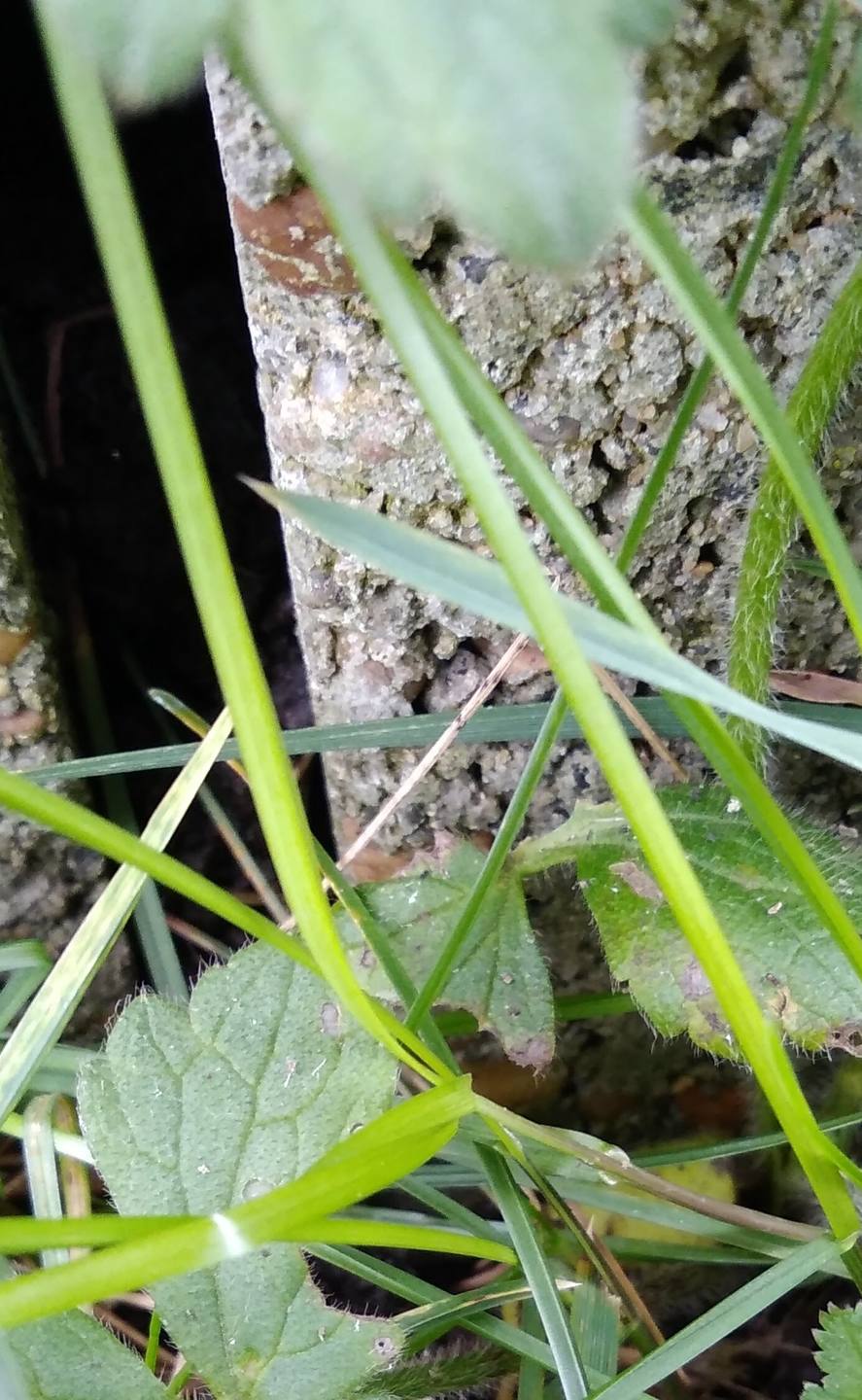 Annexe IMG_20180330_184851.jpg