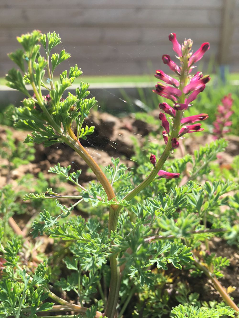 Annexe IMG_1072 (1).jpg