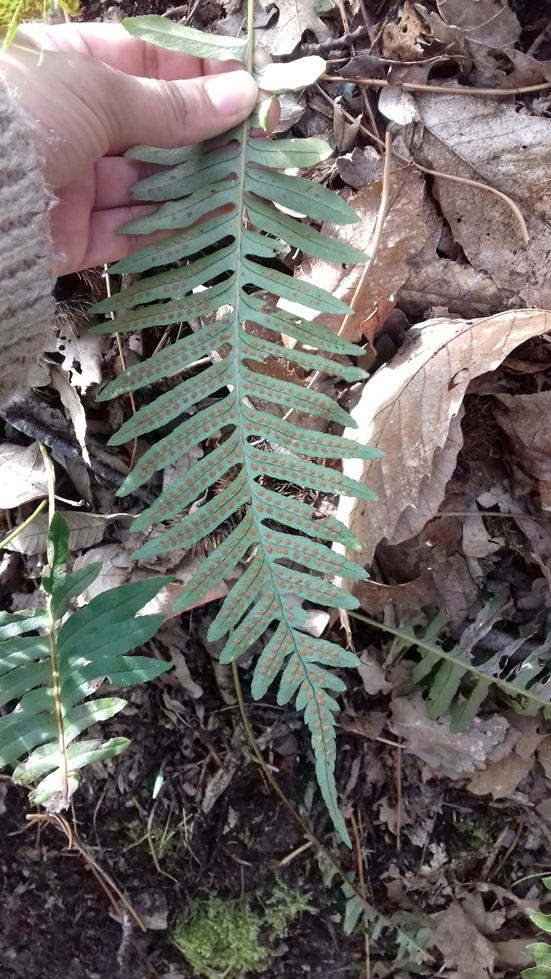 Annexe received_10155143787236286.jpeg