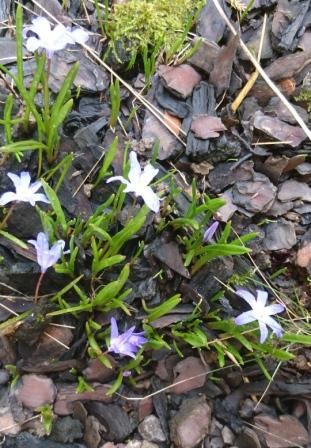 Annexe DSC_5918_A.jpg