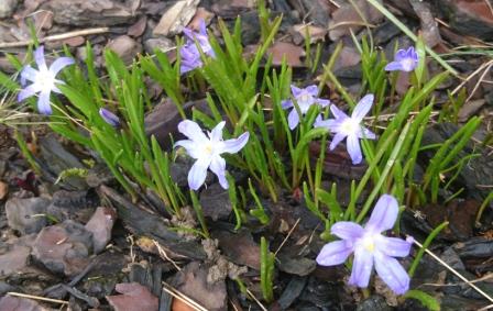 Annexe DSC_5920_A.jpg