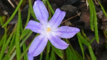 Annexe DSC_5924_A.jpg