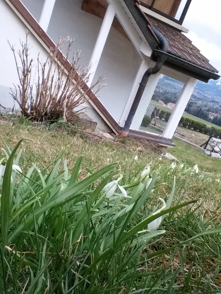 Annexe IMG_20180331_172710.jpg