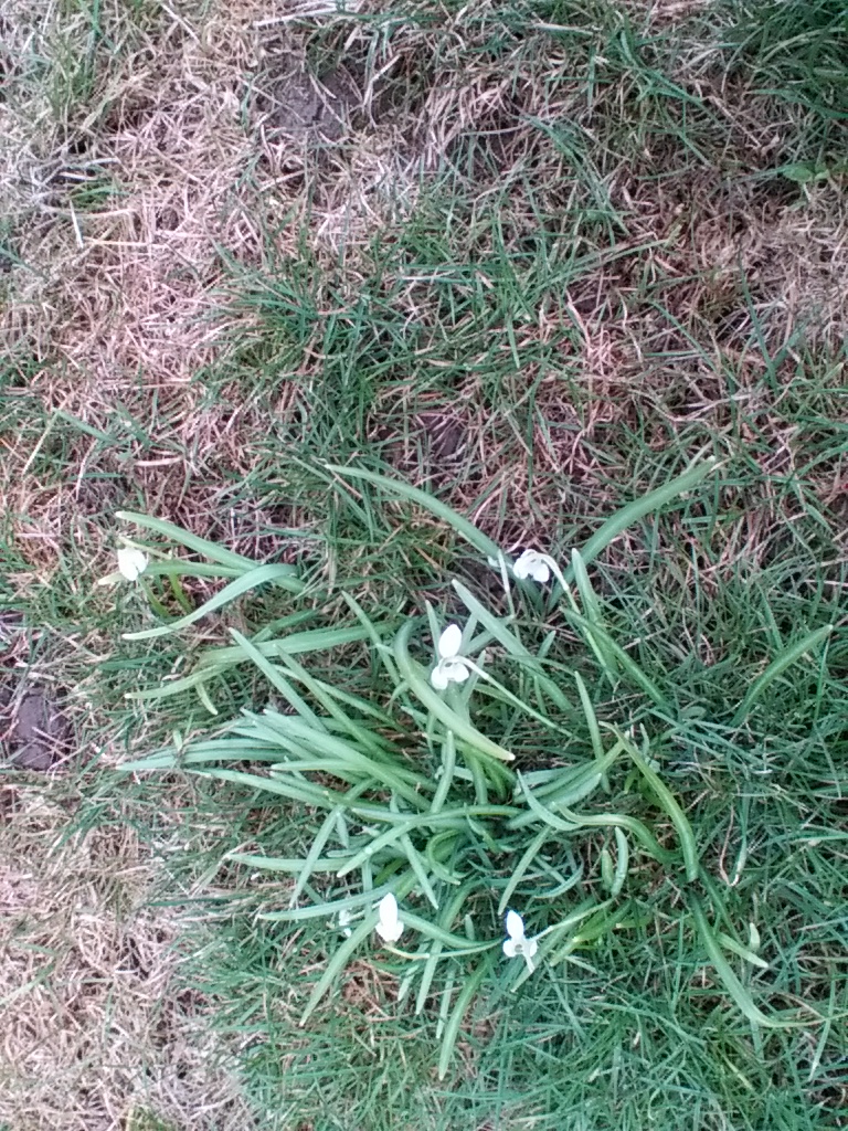 Annexe IMG_20180331_172850.jpg