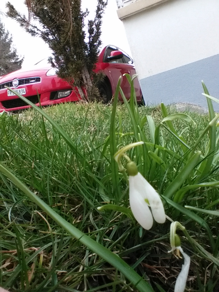 Annexe IMG_20180331_172910.jpg