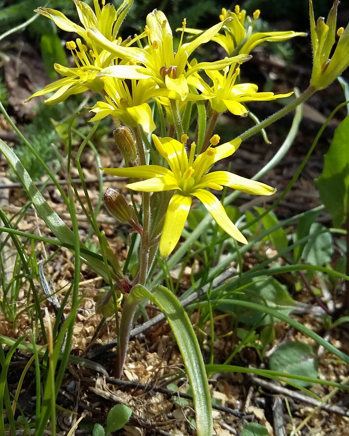 Annexe 20180331_144658 BIS.jpg