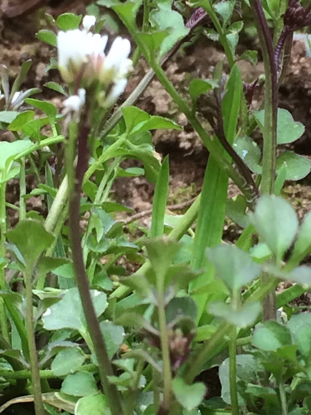 Annexe IMG_1030 - Version 2.jpg