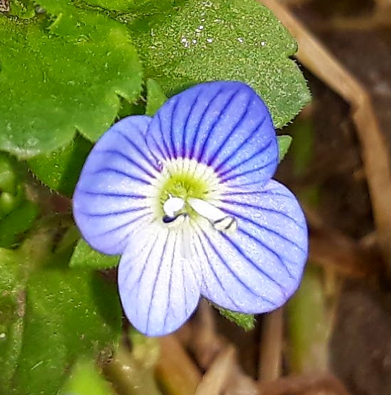 Annexe 20180331_210748.jpg