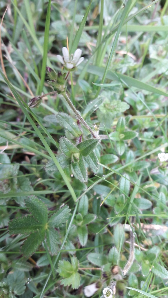 Annexe 20180328_143436-580x1031.jpg