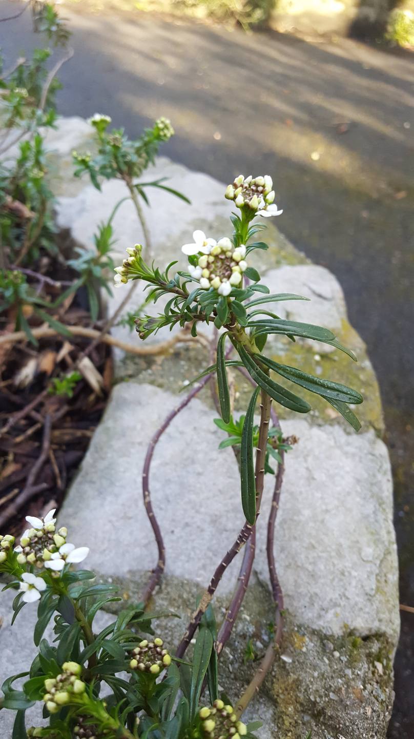 Annexe 20180328_185043-min.jpg