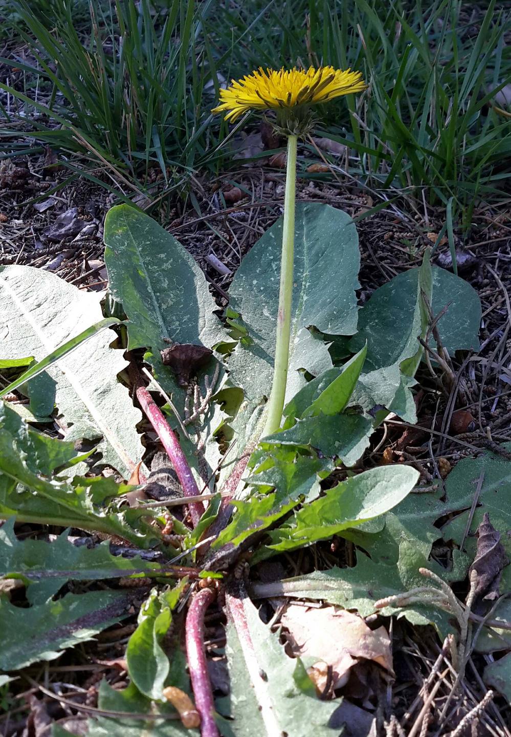 Annexe Studio_20180401_131317-ConvertImage.jpg