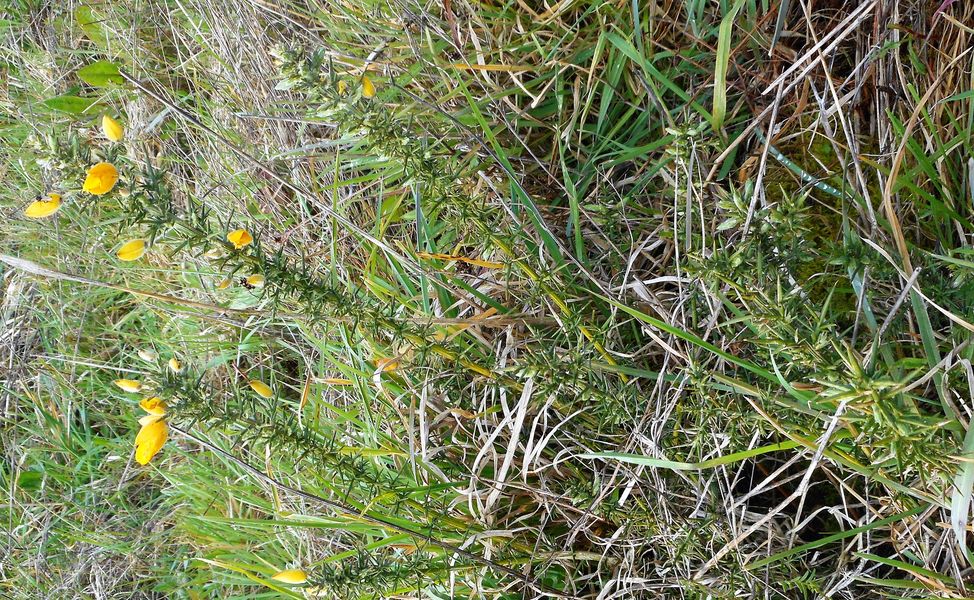 Annexe DSCN2034-1.jpg