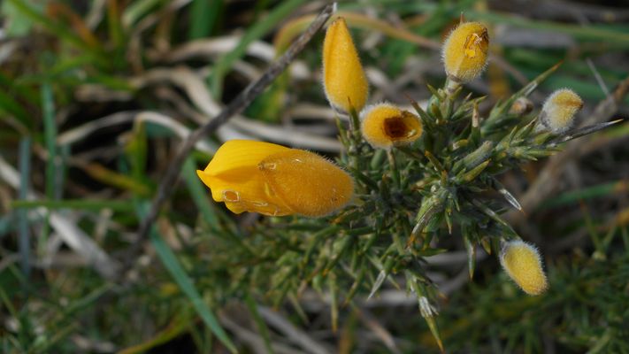 Annexe DSCN2037-1.jpg