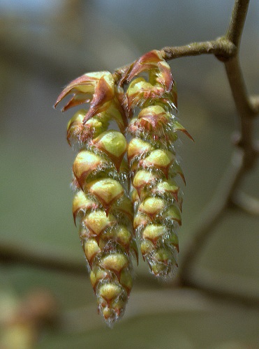 Annexe IMG_7378-001.jpg