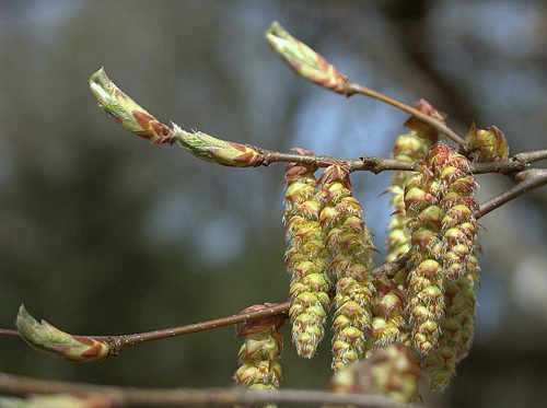 Annexe IMG_7380-003.jpg